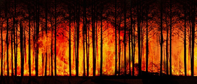 Perlindungan Diri Kebakaran Hutan