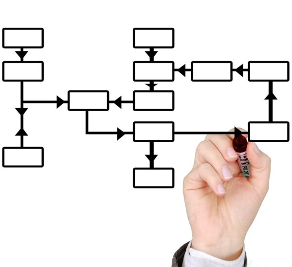 Forest Fire Training Framework